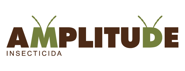 Amplitude