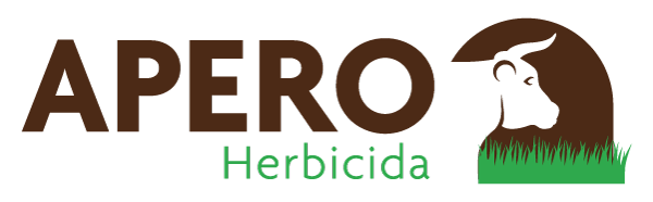 Apero