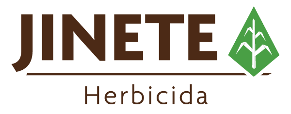 Jinete