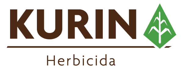 Kurin