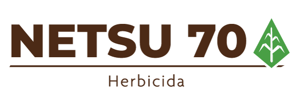 Netsu