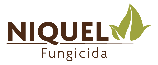 Níquel