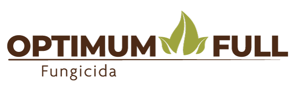 Optimum Full