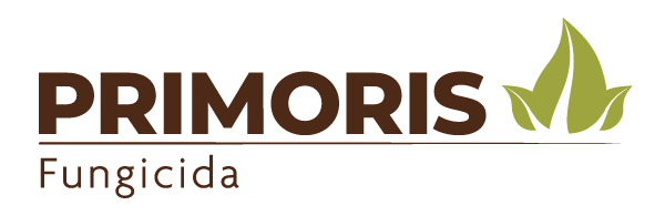 Primoris
