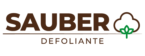 Sauber